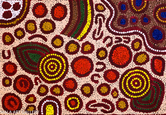 Women's Story - Bush Tucker