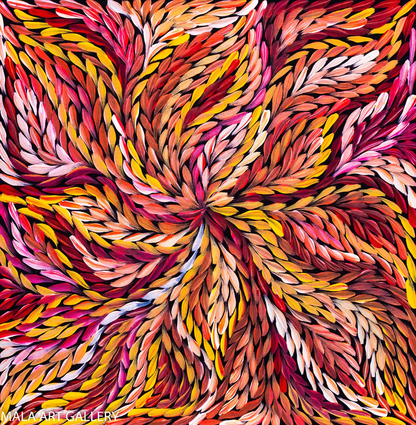 Bush Yam Dreaming